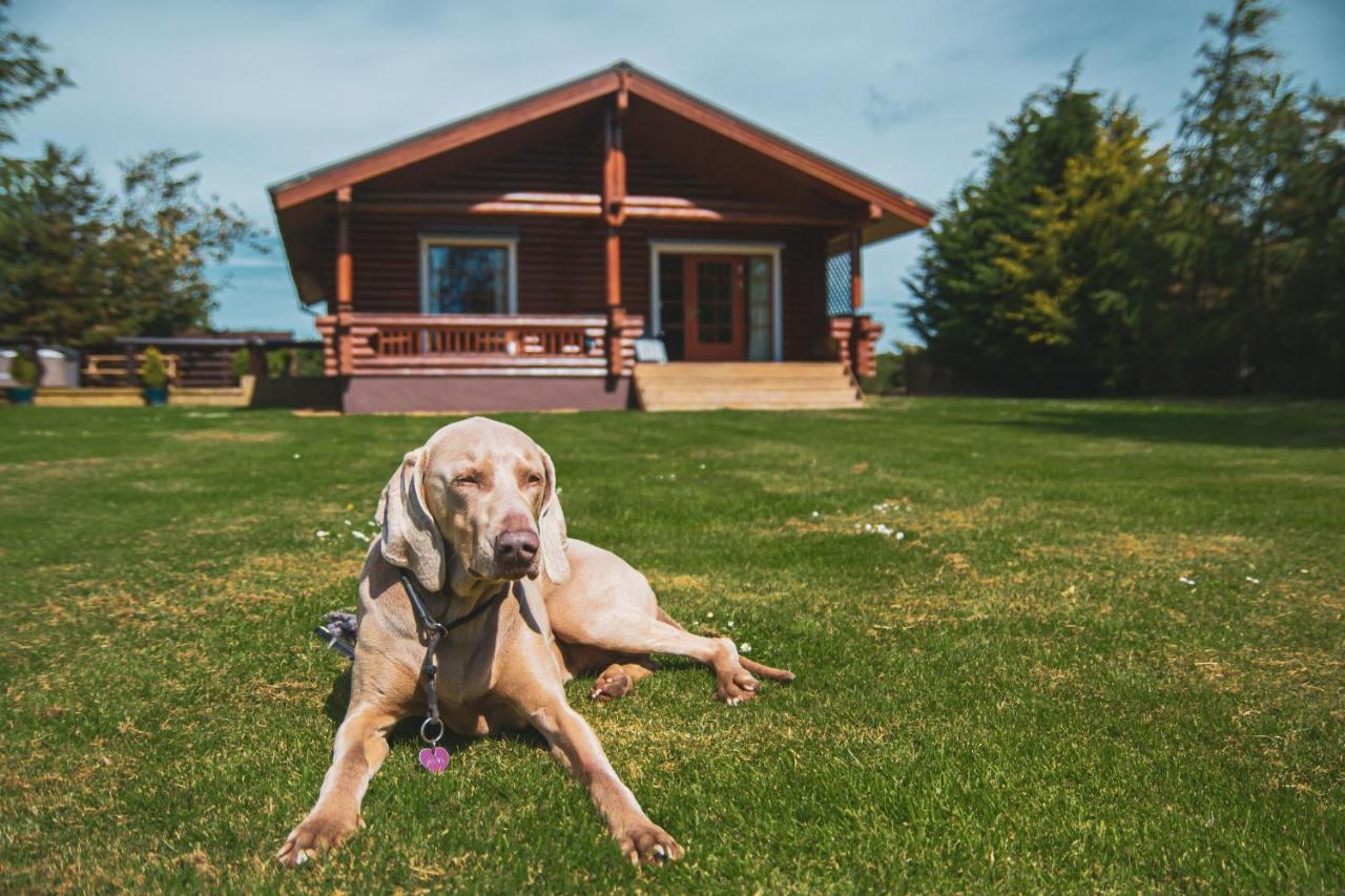 Tomatin - Luxury Two Bedroom Log With Hot Tub *